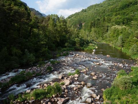 Torrente Avisio