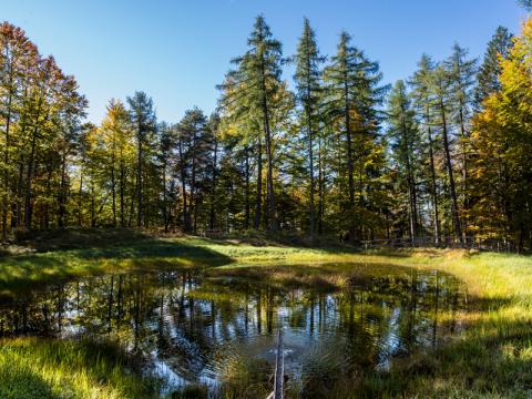 Riserve Naturali Locali