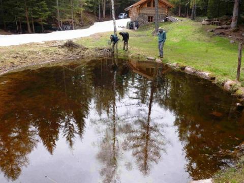 Riserva Locale Acqua della Rossa