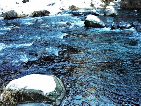 Acqua