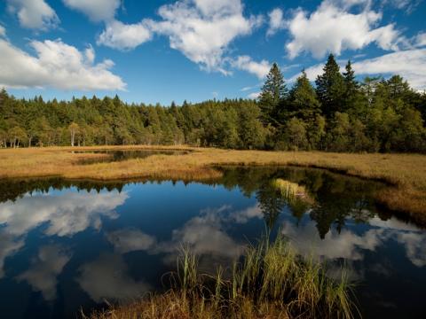 Riserve naturali Provinciali