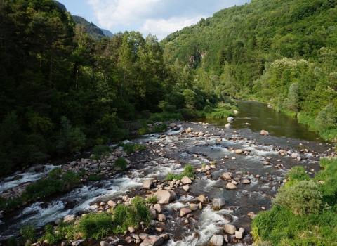 Torrente Avisio
