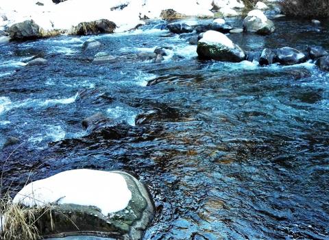 Acqua