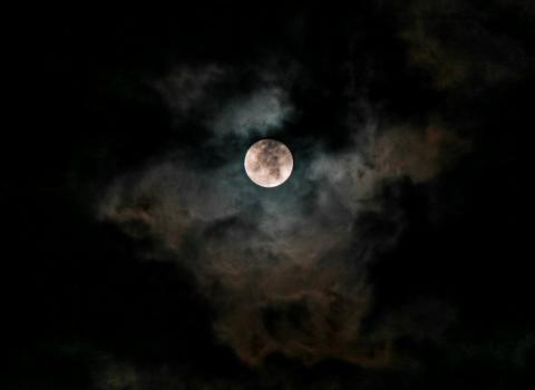 La Notte dei Contrabbandieri