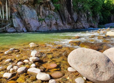 Le iniziative di luglio nella Rete di Riserve Val di Cembra-Avisio