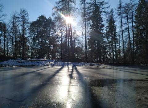 Riflessi d'inverno