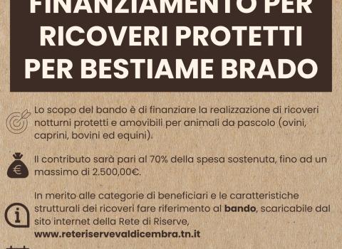 Bando "Finanziamento ricoveri per bestiame brado"