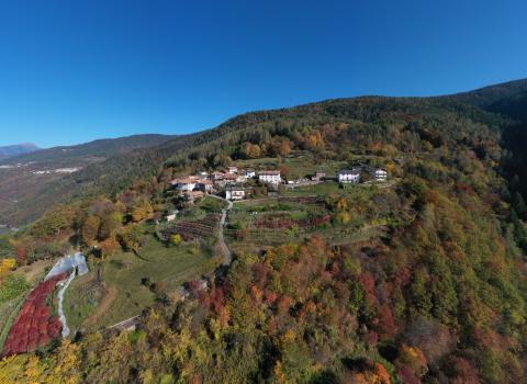 Antichi percorsi nei boschi di Segonzano