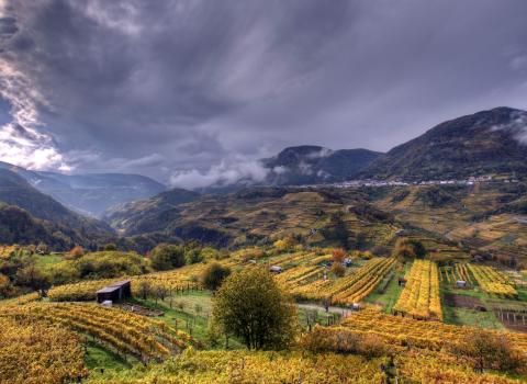 I Colori dell'Autunno