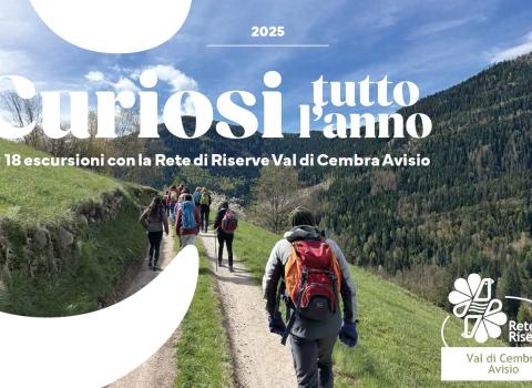 Curiosi tutto l'anno 2025