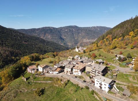Voci dal Bosco