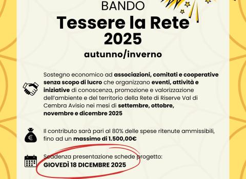 RIPROPOSTO Bando Tessere la Rete 2025 - sessione autunno/inverno
