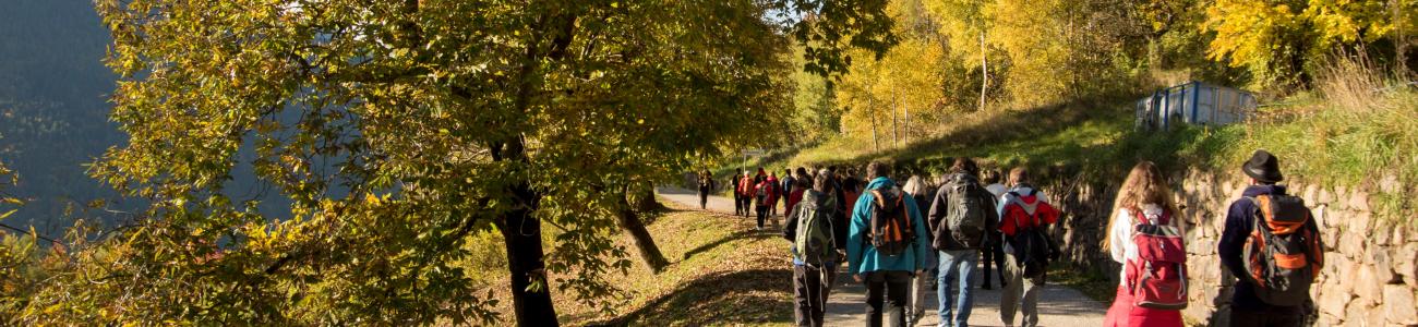Le iniziative di settembre nella Rete di Riserve Val di Cembra-Avisio