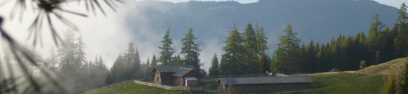 Alpeggi alle pendici del Lagorai