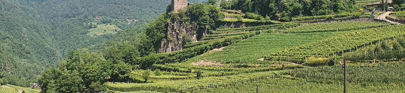 Il Castello di Segonzano e il canyon del Prà